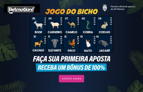 resultado jogo do bicho da bandeirantes